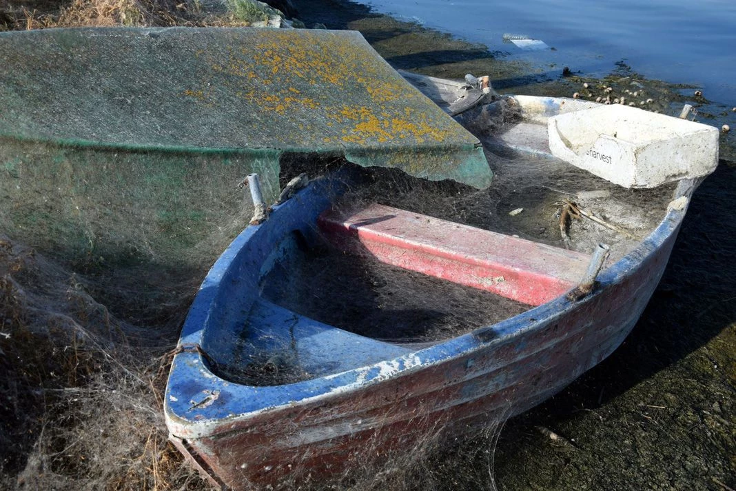 Σε θρίλερ εξελίσσεται η συνεχιζόμενη εξάπλωση του ιστού αράχνης στο Αιτωλικό – Κάλυψε και βάρκες
